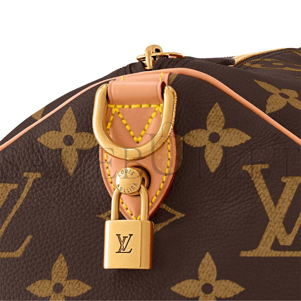 LOUIS VUITTON SPEEDY P9 BANDOULIÈRE 50 BAG M46962 (50*32*29cm)